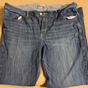 Women’s Ariat plus size jeans 24WL